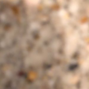 Meet your Posher, Ashton